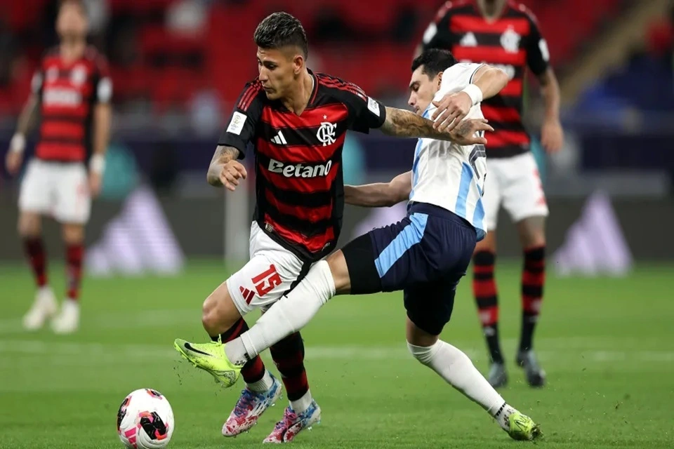 فلامنجو وبيراميدز