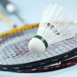 لعبة الريشة الطائرة