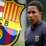 أجاي تافاريس